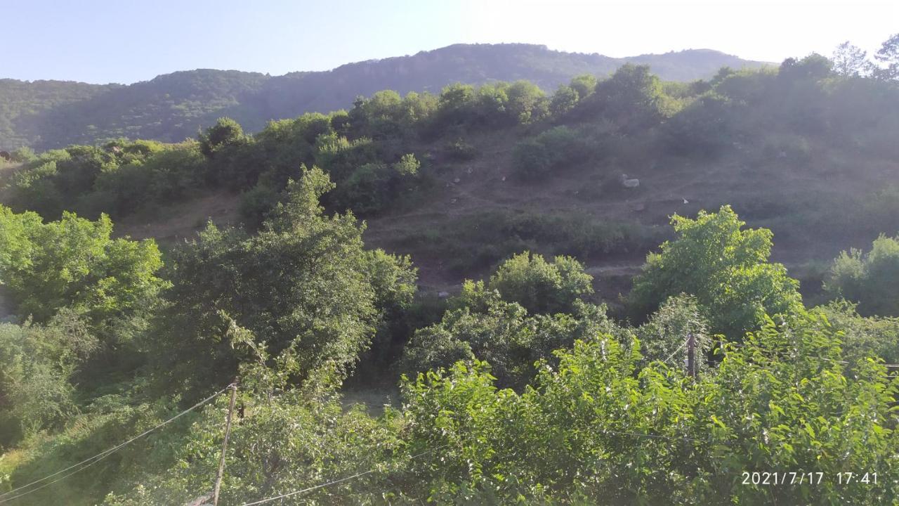 Verishen Guest House B&B Goris Exterior foto